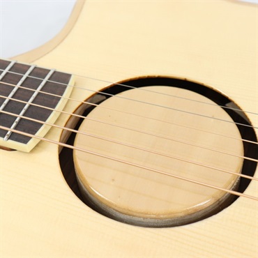 L.R.Baggs AEG-1 NAT エルアールバックス 画像10