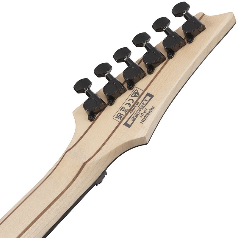 Ibanez RGR6BSP-IPT (Iron Pewter) [Limited Model] 画像5
