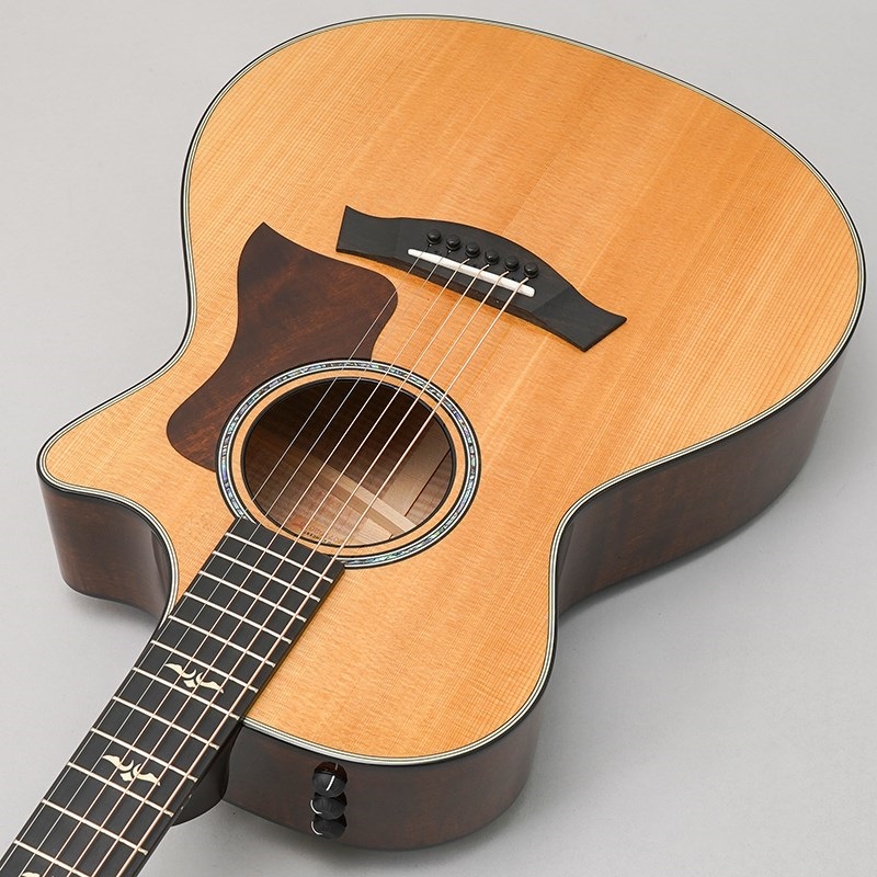TAYLOR 612ce V-Class テイラー 画像4