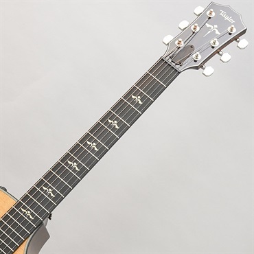 TAYLOR 612ce V-Class テイラー 画像9