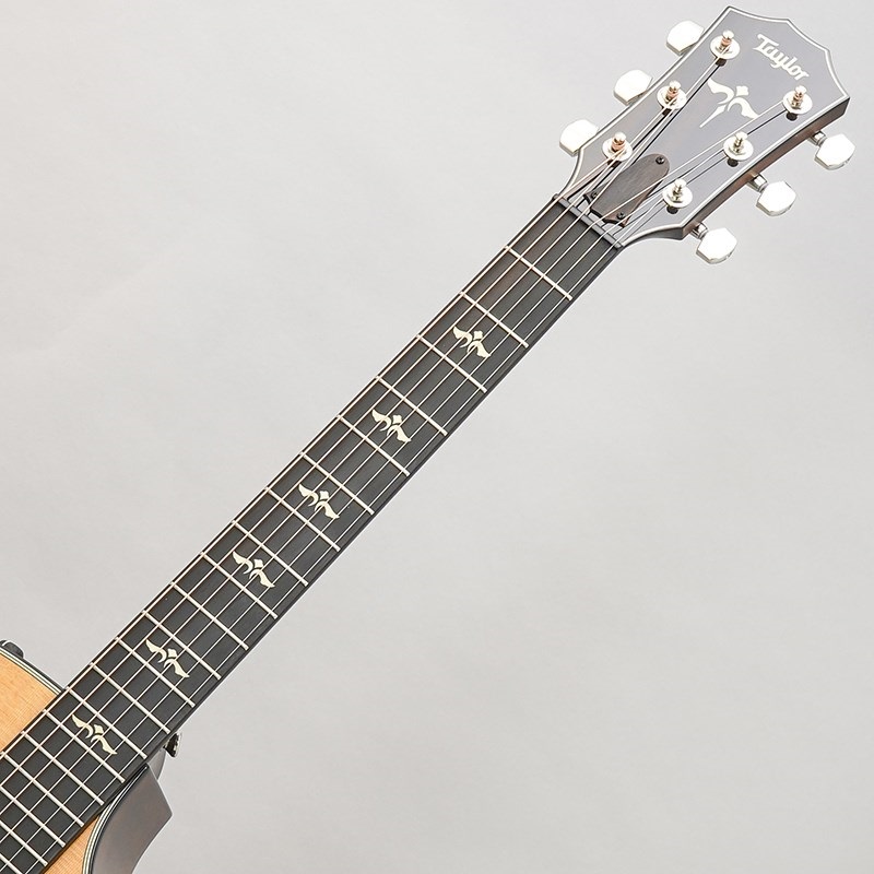 TAYLOR 612ce V-Class テイラー 画像9