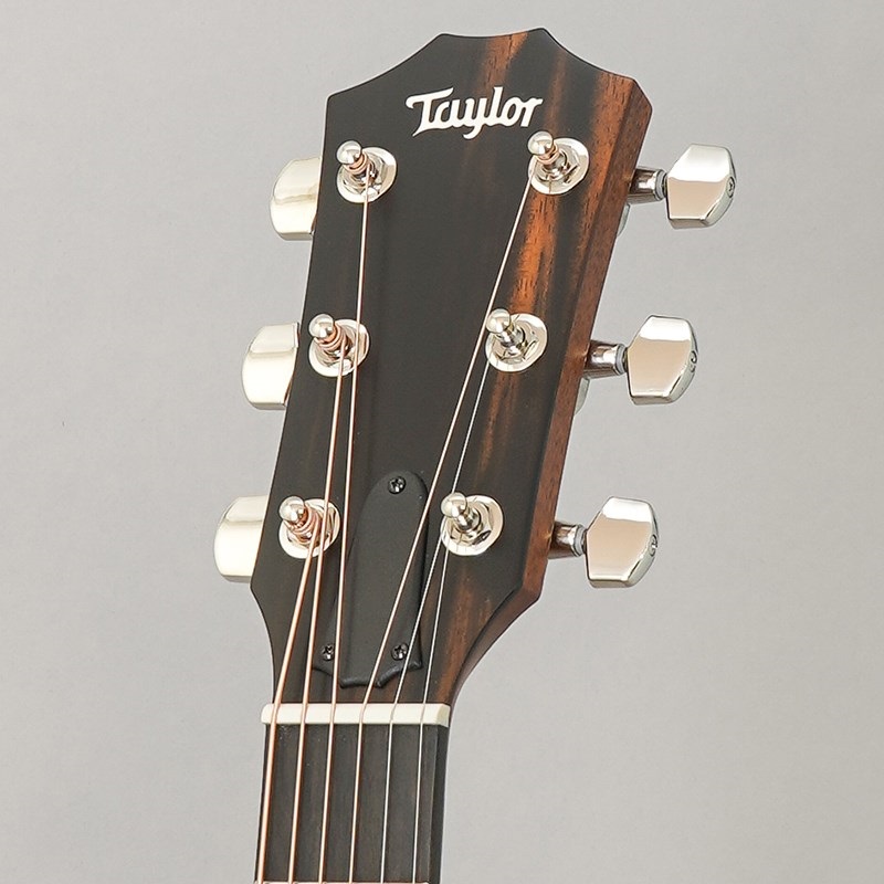 TAYLOR 314ce Studio Natural テイラー ｜イケベ楽器店