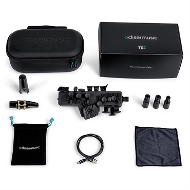 その他ブランド(管楽器・吹奏楽器) odiseimusic オディセイ・ミュージック Travel Sax2 TS-2 画像5