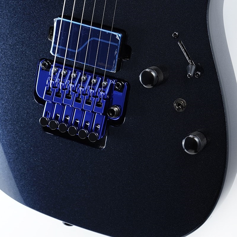 Ibanez RGR6BSP-IPT (Iron Pewter) [Limited Model] ｜イケベ