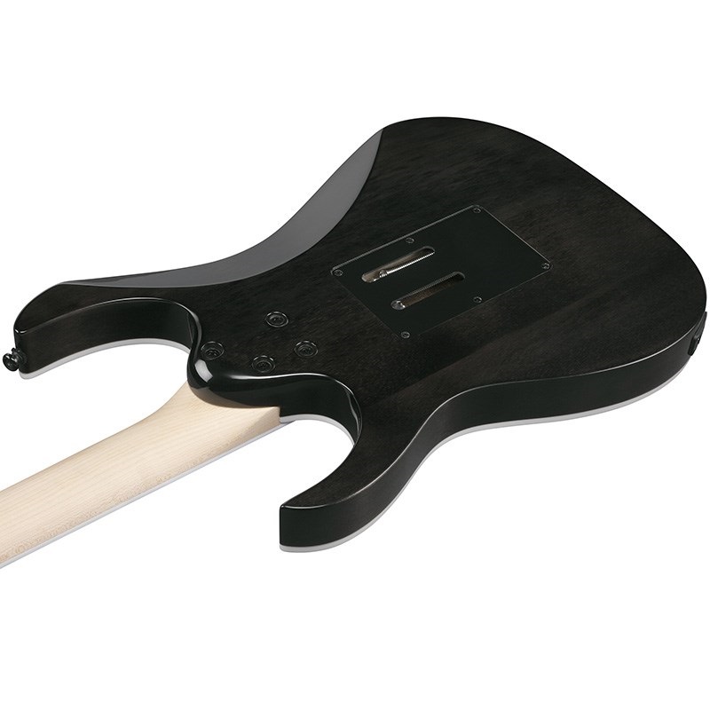 Ibanez RG450QMB-TGB (Transparent Gray Burst) [SPOT MODEL] 画像3
