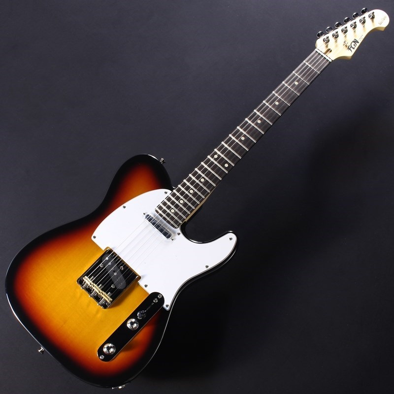FUJIGEN BCTE100RBD (3TS/R) 画像1