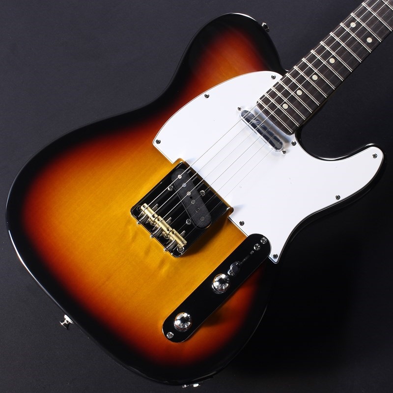 FUJIGEN BCTE100RBD (3TS/R) 画像2