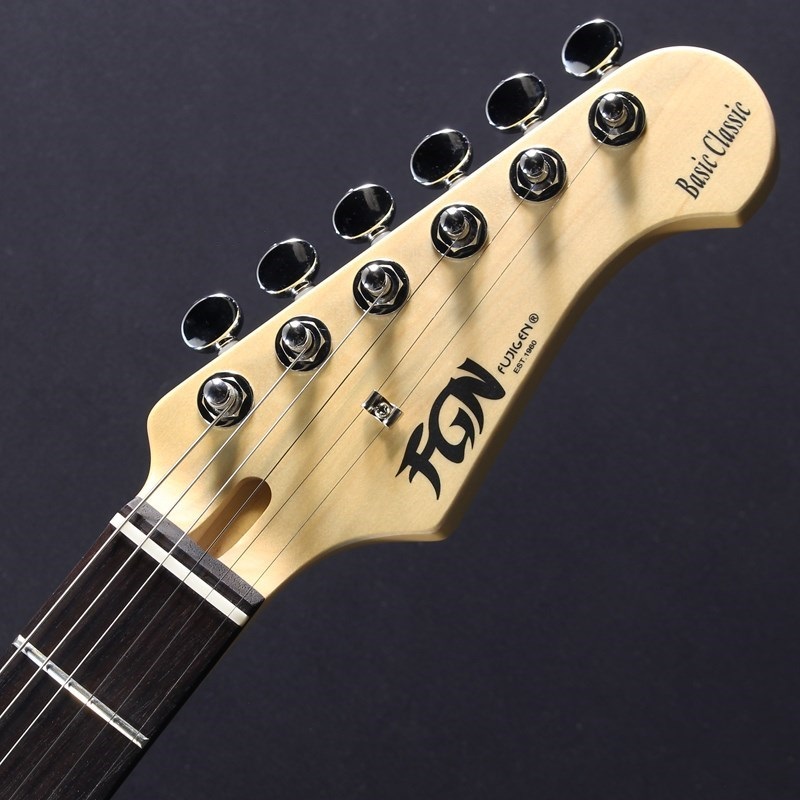 FUJIGEN BCTE100RBD (3TS/R) 画像4