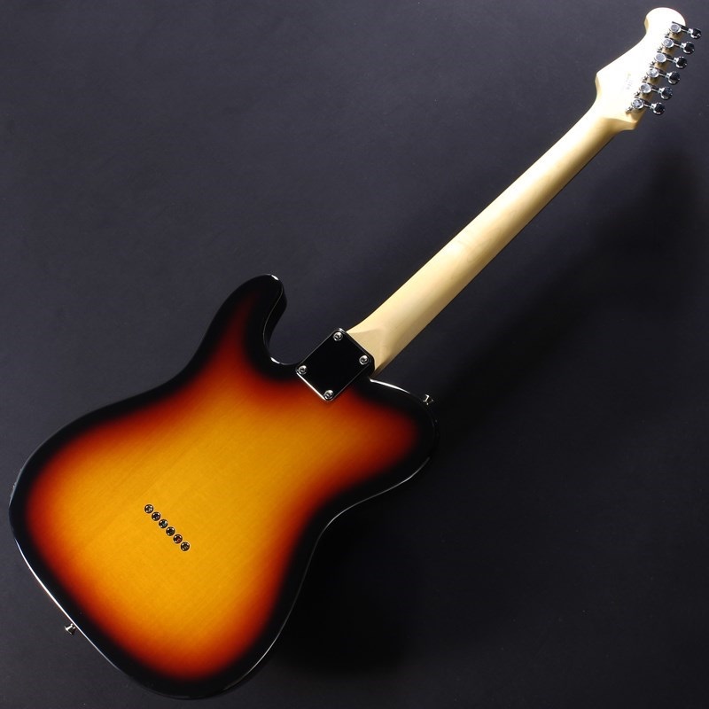 FUJIGEN BCTE100RBD (3TS/R) 画像5