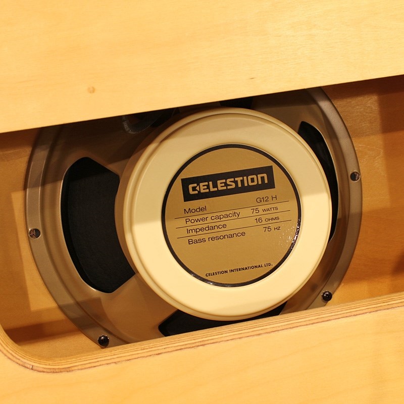 Divided by 13 AMW39 Head w/1x12 Cabinet Hard Wood ｜イケベ