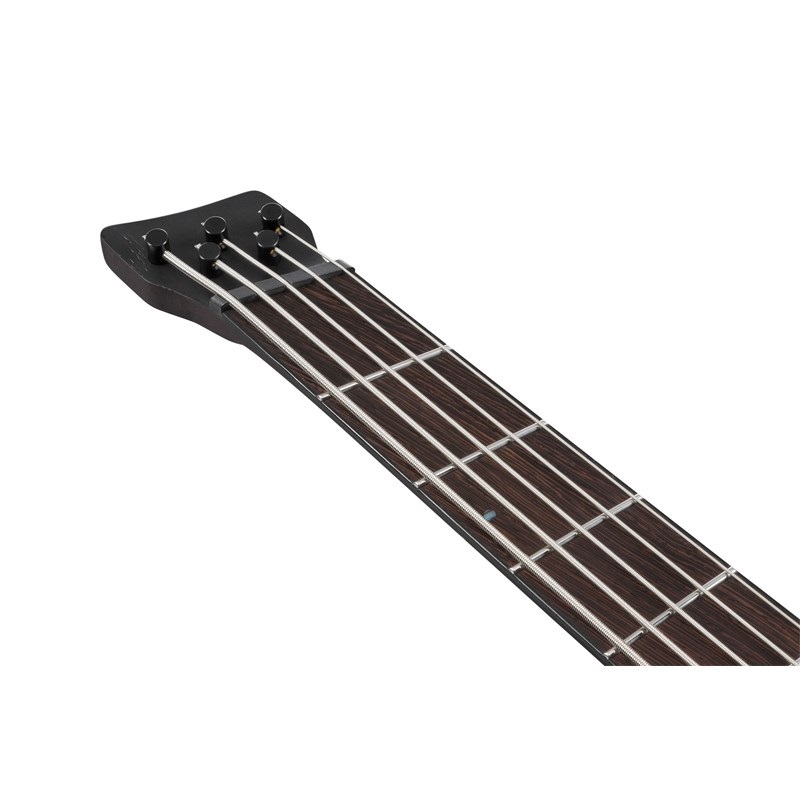 Ibanez Bass Workshop EHB1675MS-NTF [限定モデル] 画像4