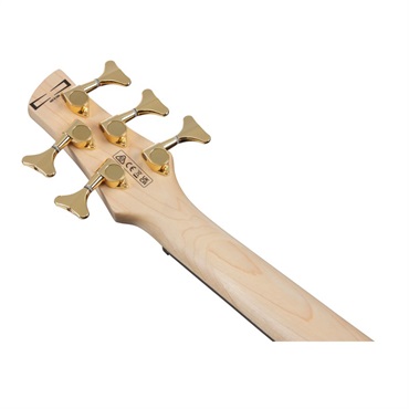 Ibanez GSR205PC-TMU [SPOT MODEL] ｜イケベ楽器店オンラインストア