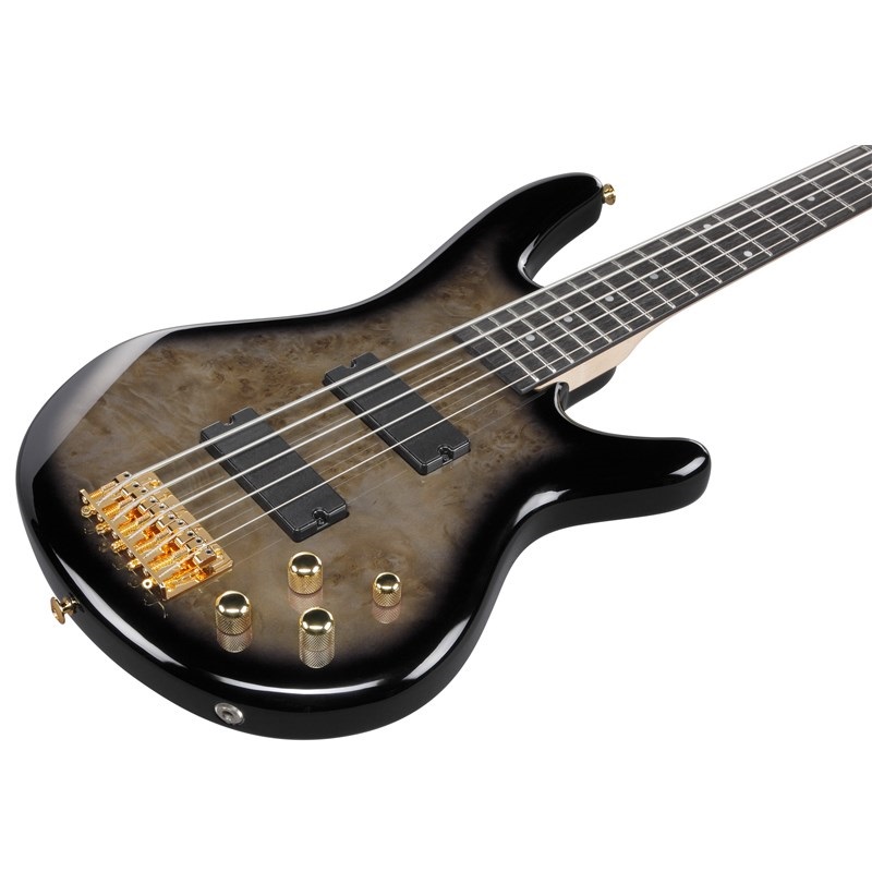 アイプリバース 引退品 セット売り Ibanez GSR205PC-TPB [SPOT MODEL] ｜イケベ楽器店オンラインストア