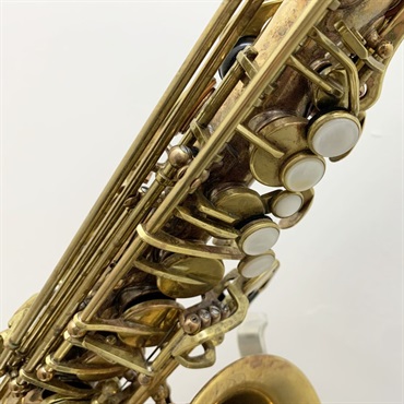 Amazon.co.jp: Kaerntner ケルントナー アルトサックス KAL-68AQ