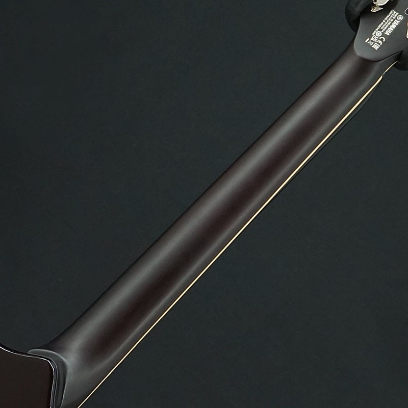 YAMAHA 【USED】REVSTAR RSS20L【SN.IJK183520】 画像5