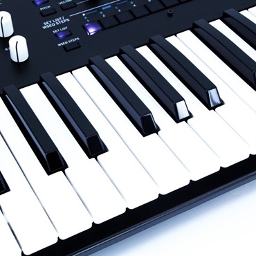 KORG 【創業50周年大決算SALE】WAVESTATE (1台限定・メーカー再生品特価) コルグ 画像1