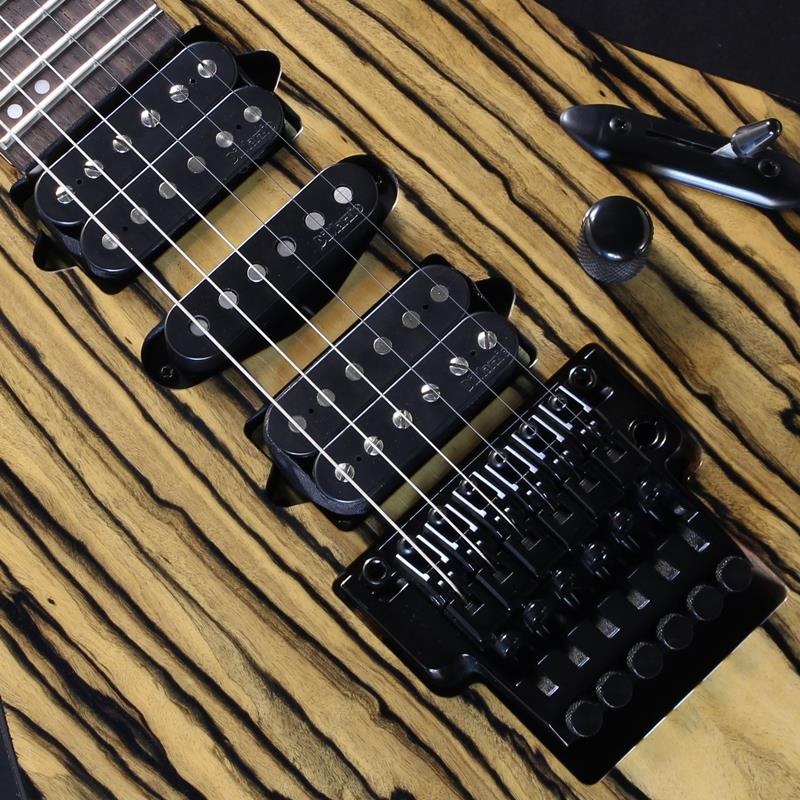特別ホビー・楽器・アート - Ibanez M20S ハードケース