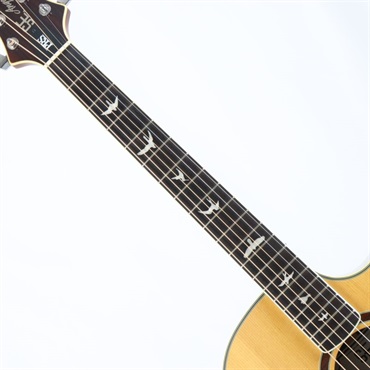 【 PRS 】ポールリードスミス SE Angelus A55EBG エレアコ The *NEW* PRS Acoustic Guitar (Angelus A55EBG) - YouTube