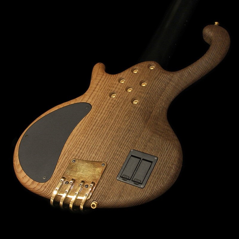 Ritter USED 中古 Roya 4 (Bog Oak Body) '08 画像8