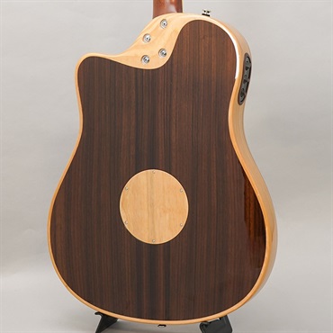 L.R.Baggs 【新楽器応援セール】AEG-1 TOR エルアールバッグス 画像1