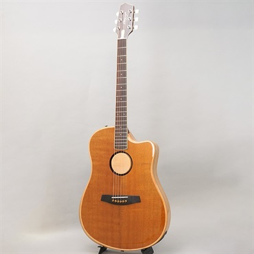 L.R.Baggs 【新楽器応援セール】AEG-1 TOR エルアールバッグス 画像2