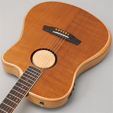 L.R.Baggs 【新楽器応援セール】AEG-1 TOR エルアールバッグス 画像4