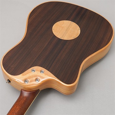 L.R.Baggs 【新楽器応援セール】AEG-1 TOR エルアールバッグス 画像5