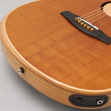 L.R.Baggs 【新楽器応援セール】AEG-1 TOR エルアールバッグス 画像7