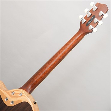 L.R.Baggs 【新楽器応援セール】AEG-1 TOR エルアールバッグス 画像10