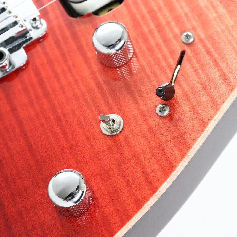 SCHECTER EX-4B-24-CTM-VTR-FM/RN (RSBF/MH) 【IKEBE Original Order Model】 画像5
