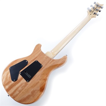 P.R.S. SE Custom 24 Burled Ash Limited Edition (Lake Blue) 画像2