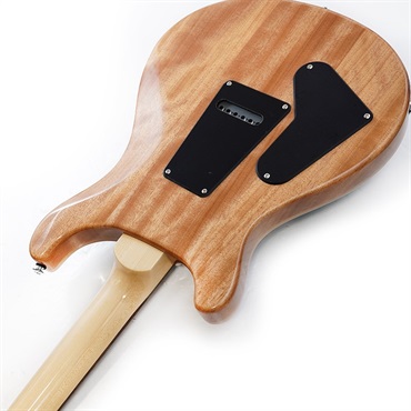 P.R.S. SE Custom 24 Burled Ash Limited Edition (Lake Blue) 画像6