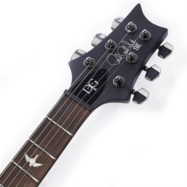 P.R.S. SE DGT Laurel Burl Limited Edition (McCarty Tobacco Burst) 画像8