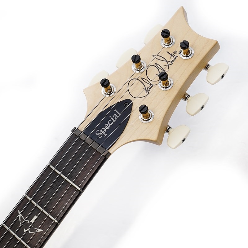 P.R.S. Swamp Ash Special (White Doghair Smokeburst) SN.0401931 画像8
