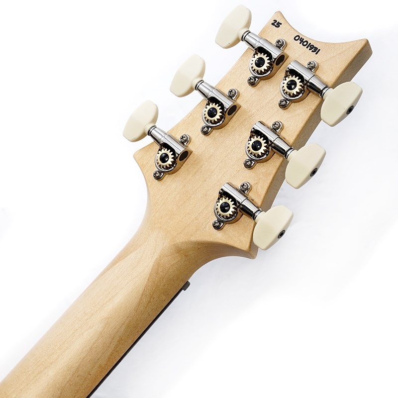 P.R.S. Swamp Ash Special (White Doghair Smokeburst) SN.0401931 画像9