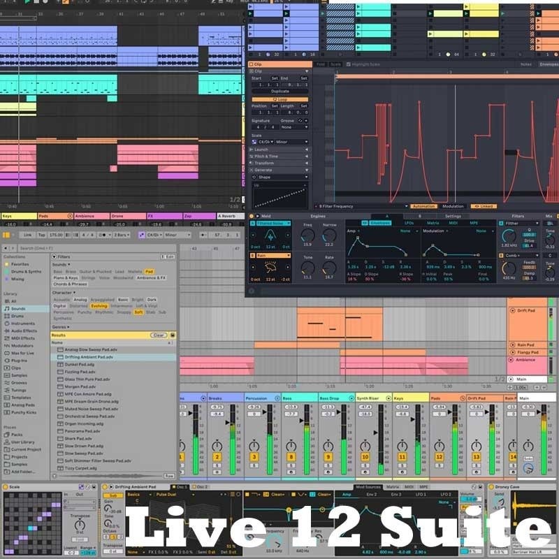 ableton PUSH 3 スタンドアロンバージョン Live12 Suite Bundle 【Ableton Live対応コントローラー】(エイブルトン) 画像1