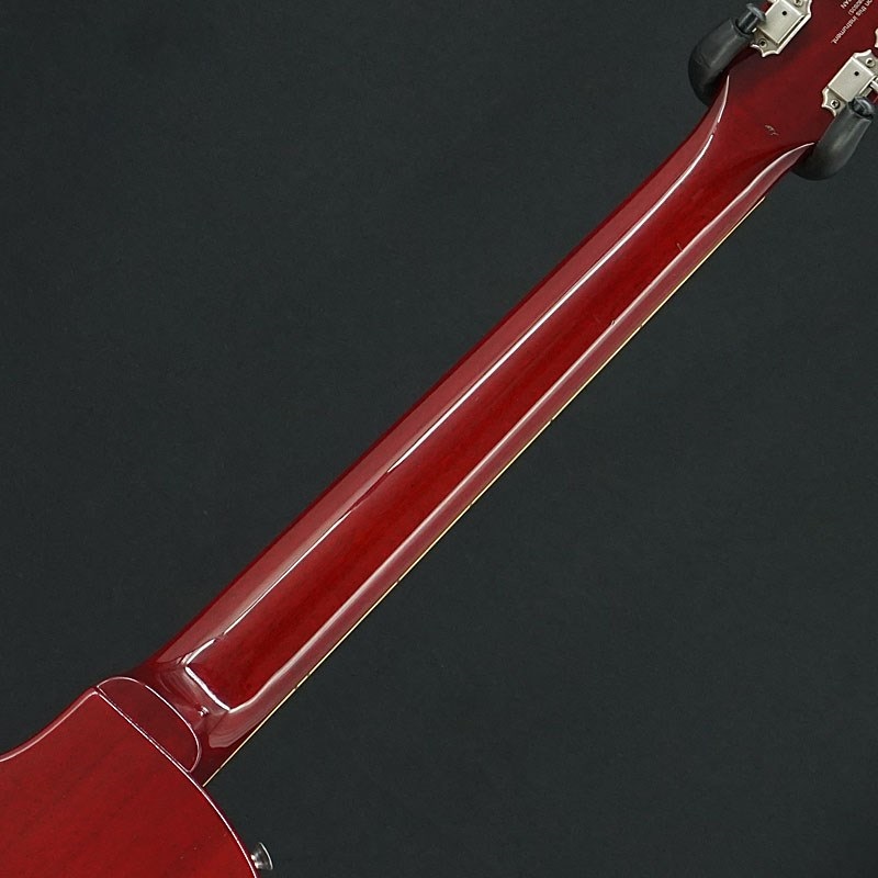 FUJIGEN(FGN) Neo Classic / NLS100RMPTB-BK / 2024年製