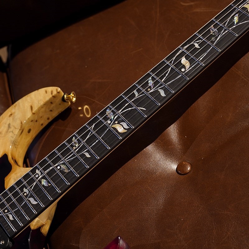 Ibanez Ikebe 50th Anniversary j-custom IKRG50TH Buckeye Burl