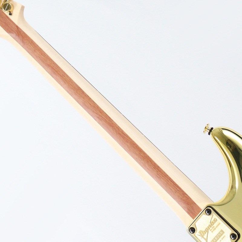 Ibanez JS1GD [Joe Satriani Model] [SN.F2507449] 画像6