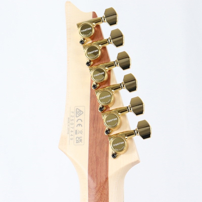 Ibanez JS1GD [Joe Satriani Model] [SN.F2507449] ｜イケベ楽器