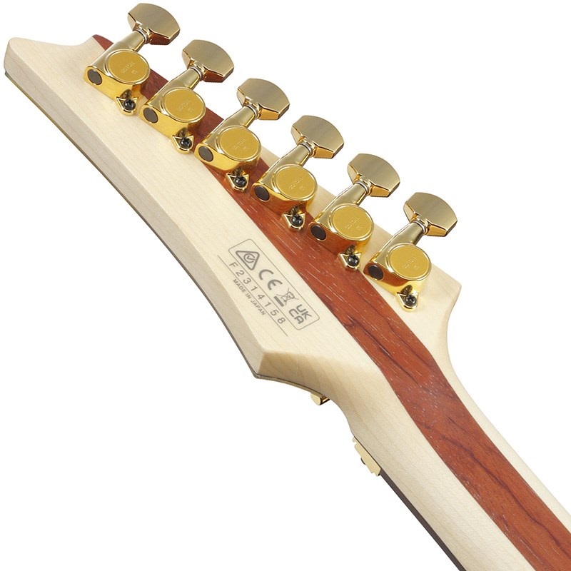 Ibanez JS1GD [Joe Satriani Model] 【受注生産品】 画像5