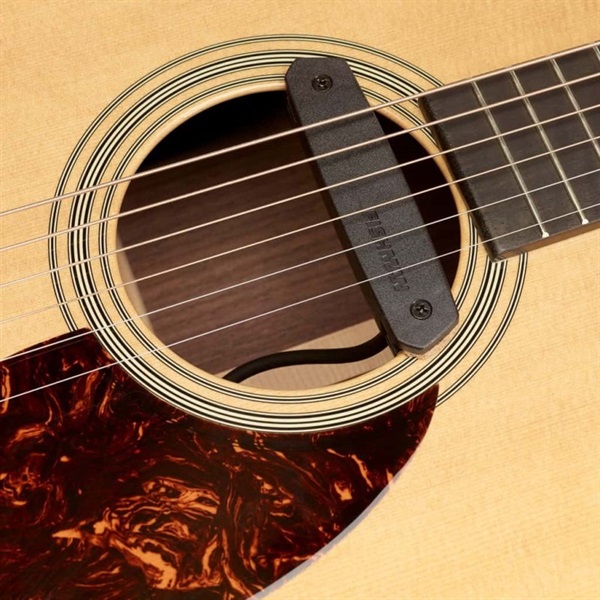 FISHMAN Neo-D Magnetic Soundhole Pickup Humbucking 画像1