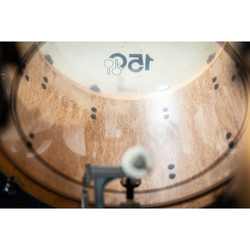 SONOR 150th Anniversary SONORLITE Shell Set [2025年7月頃入荷予定] 画像3