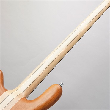 Warwick Pro Series Streamer Stage I 4st (Natural Satin) 【特価】 画像5