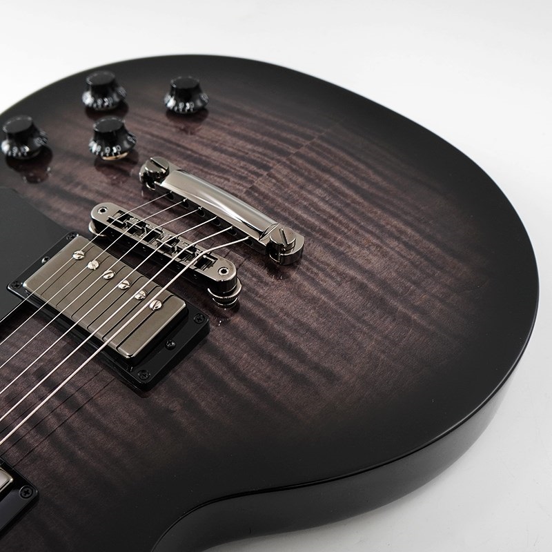 Gibson Les Paul Studio Session (Translucent Ebony Burst