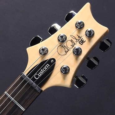 P.R.S. SE Custom 24 Burled Ash Limited Edition (Natural) #CTI G108923 画像4