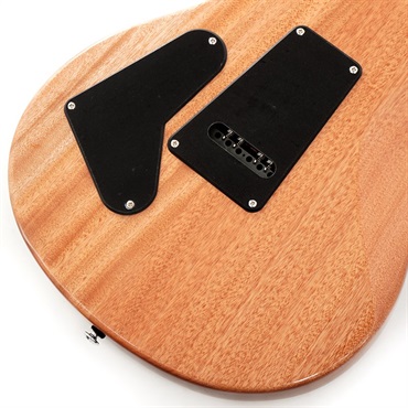 P.R.S. SE Custom 24 Burled Ash Limited Edition (Natural) 画像7