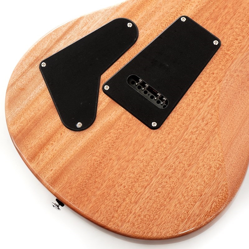 P.R.S. SE Custom 24 Burled Ash Limited Edition (Natural) 画像7