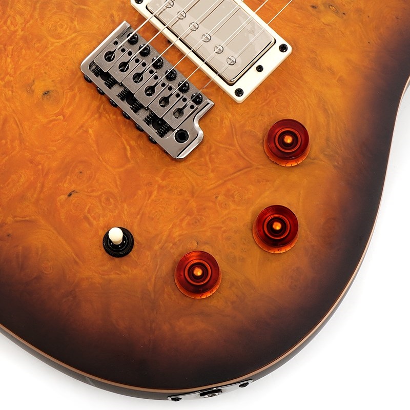 P.R.S. SE DGT Laurel Burl Limited Edition (McCarty Tobacco Burst) 画像4