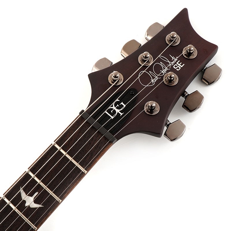 P.R.S. SE DGT Laurel Burl Limited Edition (McCarty Tobacco Burst) 画像6
